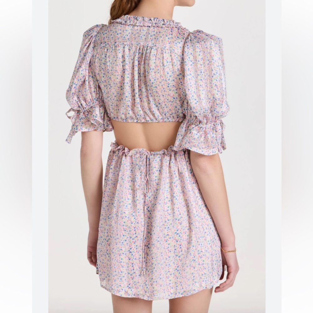 NWT PHOEBE FLORAL-PRINT CUTOUT SATIN CHIFFON MINI DRESS - Picture 4 of 5